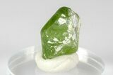 Green Olivine Peridot Crystal - Pakistan #185254-1